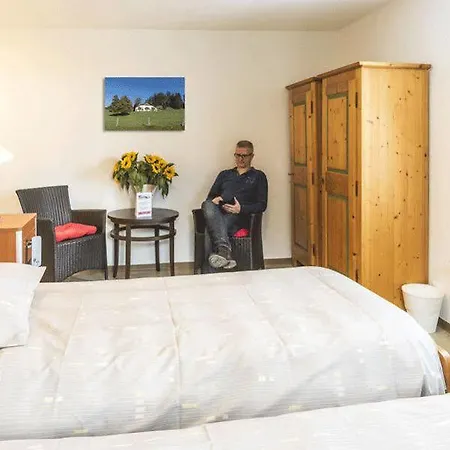 Otel La Grand Borne *